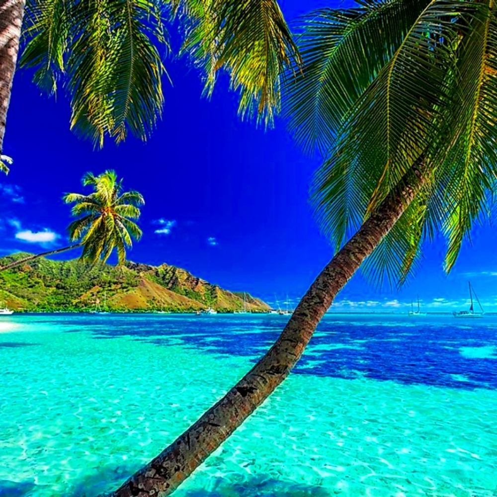 Meet your Posher, Lulabelle.